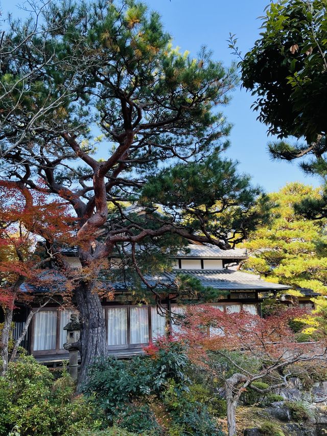 日本·奈良吉城園