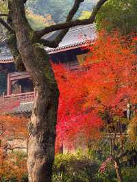 一份永福禪寺的旅遊攻略