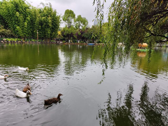 翠湖公園·昆明名勝