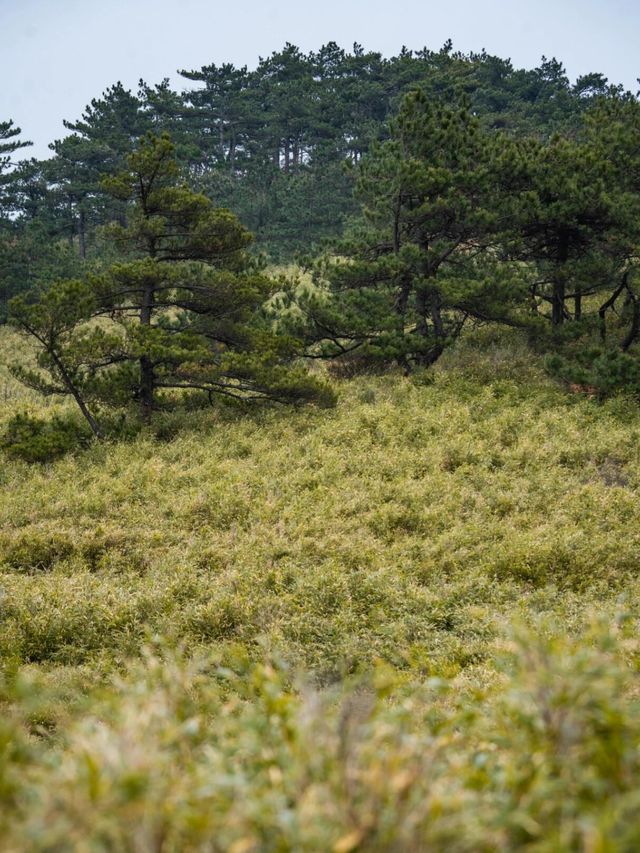 「太百穿越」臨安兩尖徒步美景