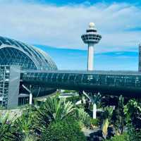 Changi Airport:  Ultimate Travel Experience🌟🇸🇬"