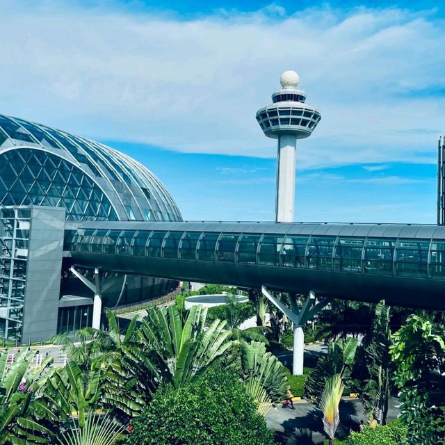 Changi Airport:  Ultimate Travel Experience🌟🇸🇬"