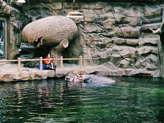 The Aramaru Aquarium