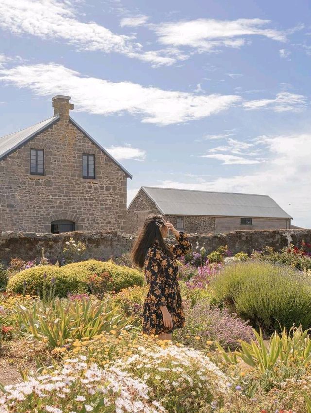  Tasmania: Australia's Untamed Wilderness 🌲🏞️