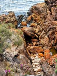  Tasmania: Australia's Untamed Wilderness 🌲🏞️