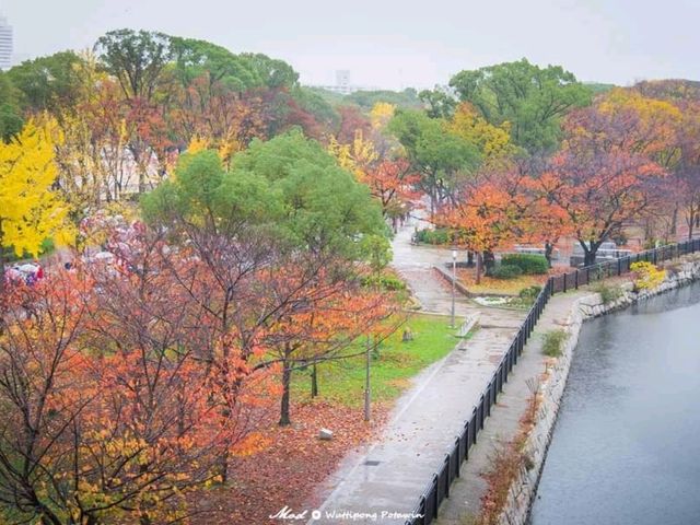 Osaka castle