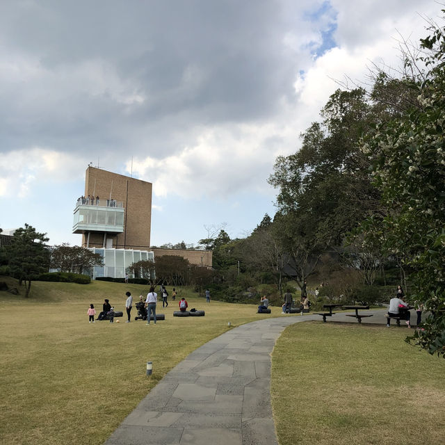 A Tea Lover’s Paradise: Explore O’Sulloc on Jeju Island 🇰🇷