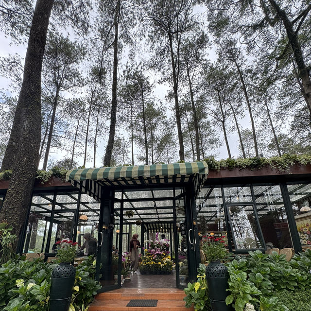 One of the nice Cafe view & nature in Bandung ❤️