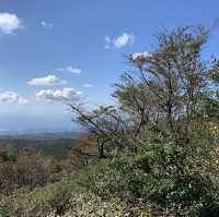 화창한 가을날의 제주도🏞️ 가족들이랑 한라산부터 월정리 해수욕장까지💕