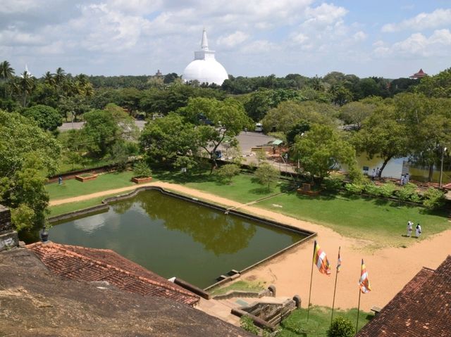 Isurumuniya Temple: a beautiful discovery 🇱🇰