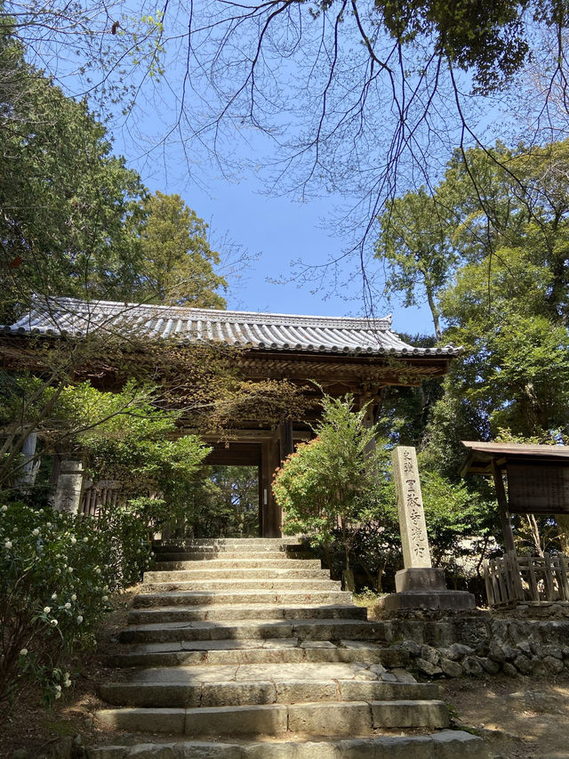 【兵庫旅行】姫路／映画ラストサムライのロケ地に使われた仏教寺院