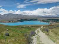 A Serene Escape to Lake Tekapo