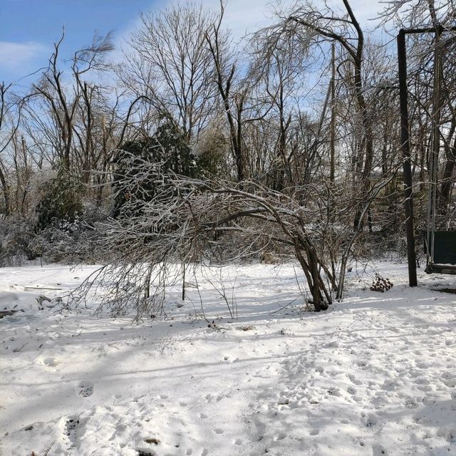 Icy Rain Wonderland in Primorsky Krai  