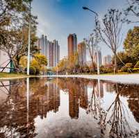 Trees and Reflections of Xi’an 