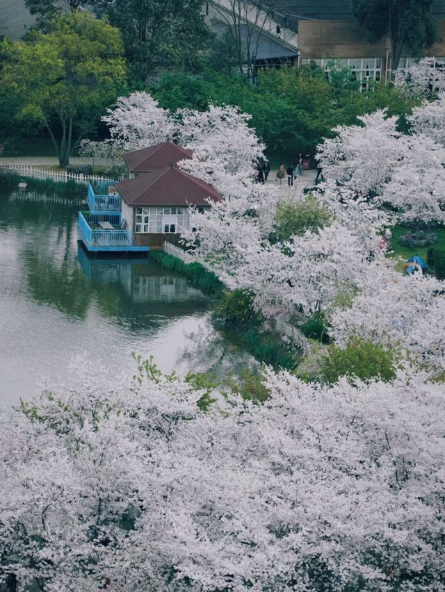 成都漫花莊園 能否滿足你對美的所有幻想？