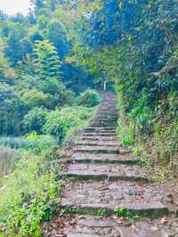 即將消失的行山路線——安山古道。