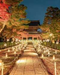 Explore Kyoto's Nighttime Autumn Foliage in 2023