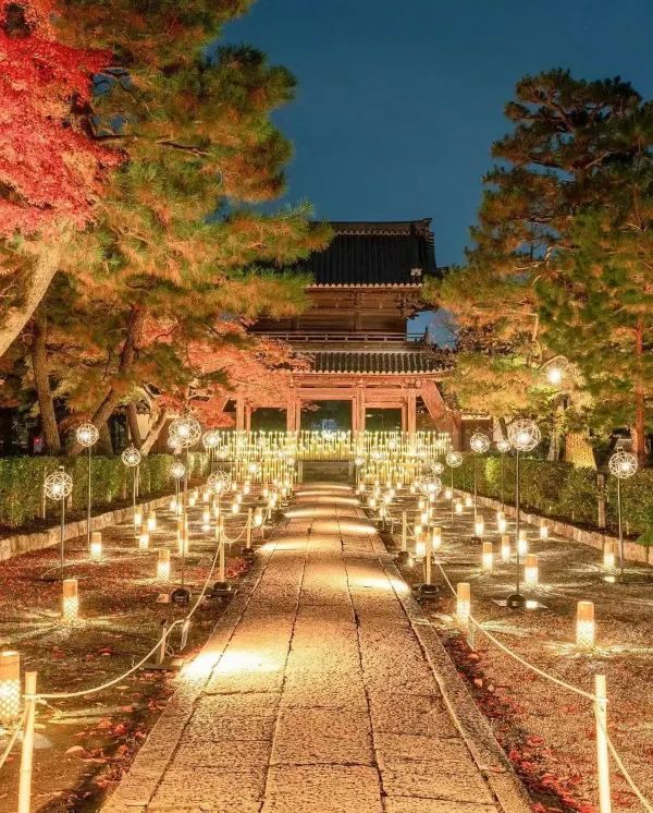 Explore Kyoto's Nighttime Autumn Foliage in 2023