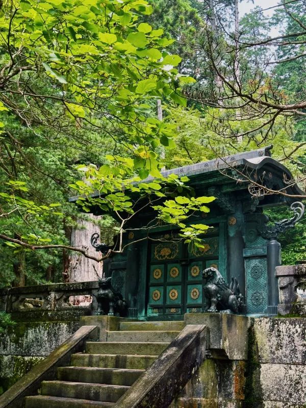 Explore Nikko's Hidden Gem: Toshogu Shrine