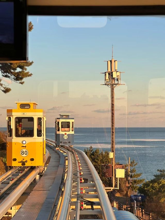 Explore Busan with a One-Day City Tour!