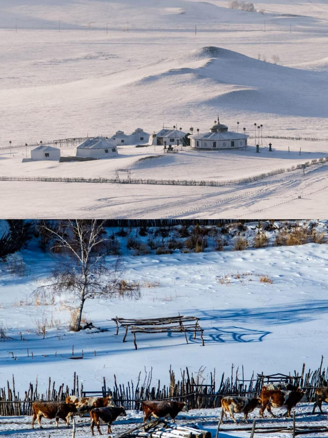 烏蘭布統，冬日裡的冰雪綺夢