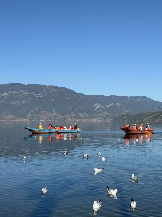 冬遊瀘沽湖