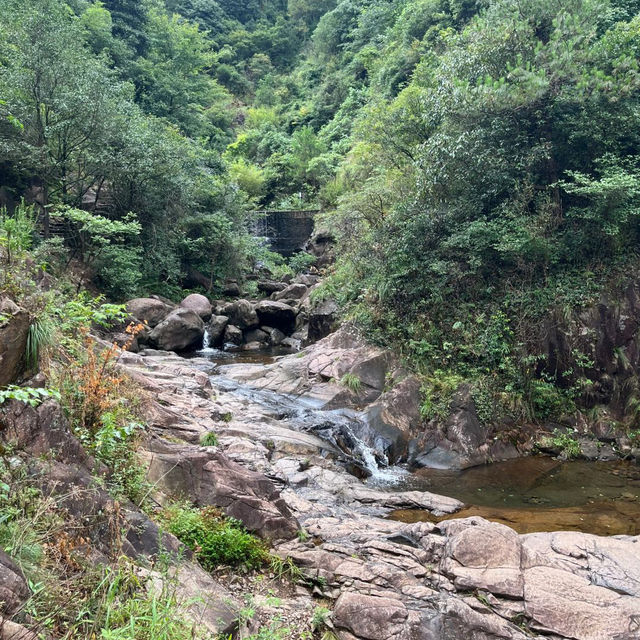 大奇山國家森林公園：山水之間的靜謐天地