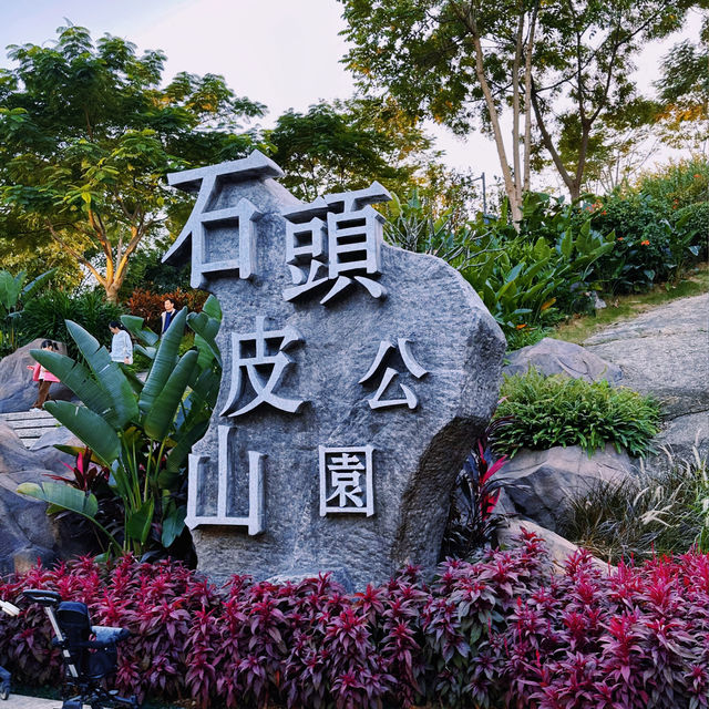 【石頭皮山公園】在廈門公園裏看另一角度的日落~