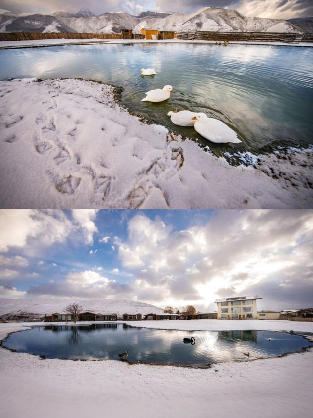 【香格里拉】入住帕納海  在雪山前醒來