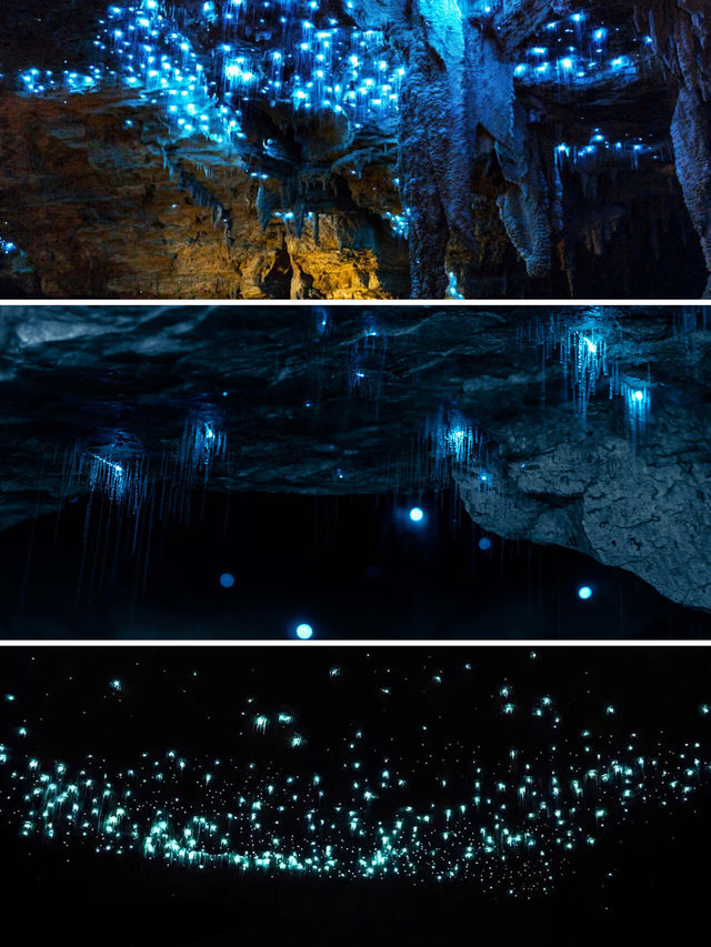 Comparison between North or South Island, Glowworm Caves in New Zealand