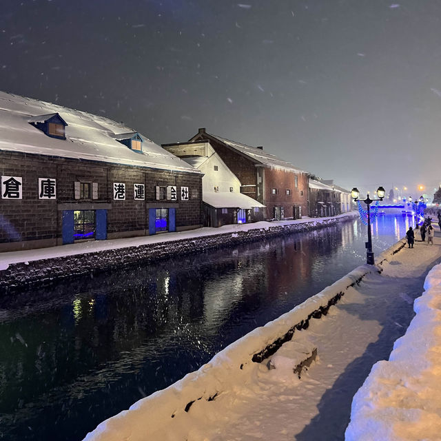 Romantic Stroll at Otaru Canal