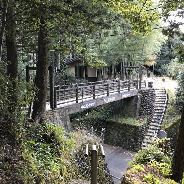 慢步日本山野 - 熊野古道