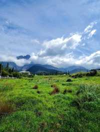 Best dairy farm to visit in Kundasang, Sabah! 🐄