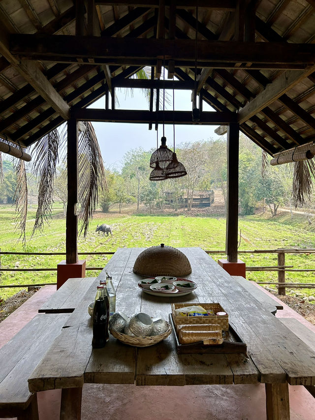 Experience local farm-stay in Thailand