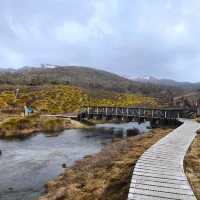 Tasmania Cradle mountain 