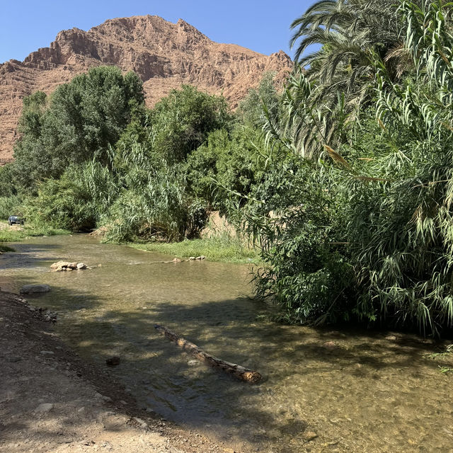 Oasis in the mountains 