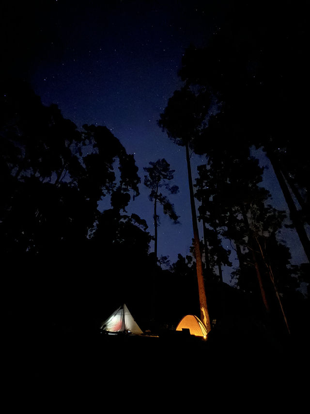 ดอยขุนตาลเดือนธันวา 🏕️🌿🌳✨