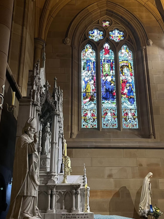 Heavenly Lights: A Christmas Spectacle at St Mary’s Cathedral