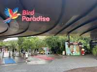 Bird Paradise Singapore 