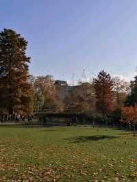 Autumn walk in St James Park 🍁🍂🍁🍂