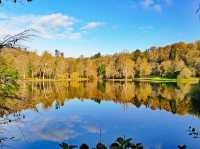 Stourhead: A Timeless National Trust Treasure in Wiltshire🎄✨