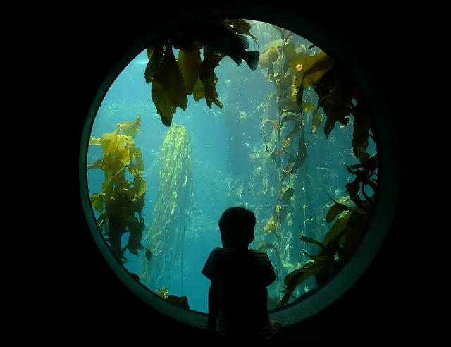 怎麼會有那麼夢幻的水族館！