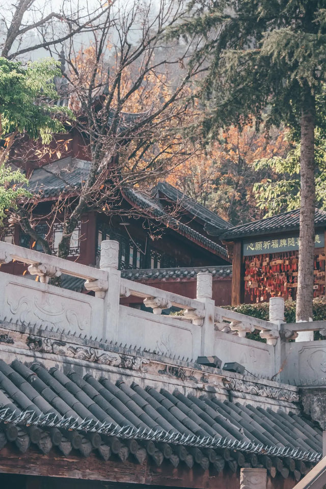 祈福寶地西昌光福寺，體驗多元宗教文化魅力～