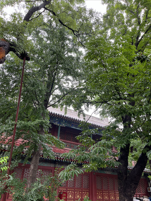 法源寺，一座歷史悠久的佛教聖地