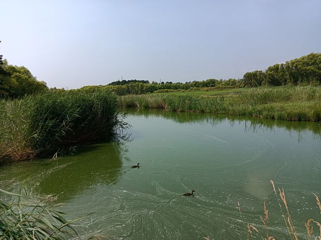 五大連池藥泉湖。