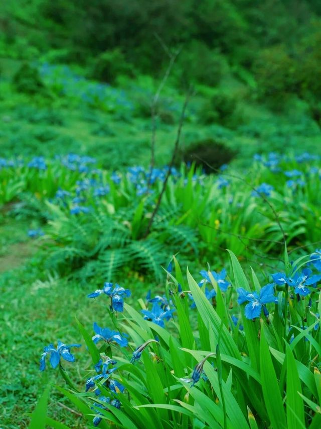 被遺忘的行山天堂——豐都夾壁山。