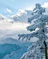 冬天的第一場雪在老君山封神了！