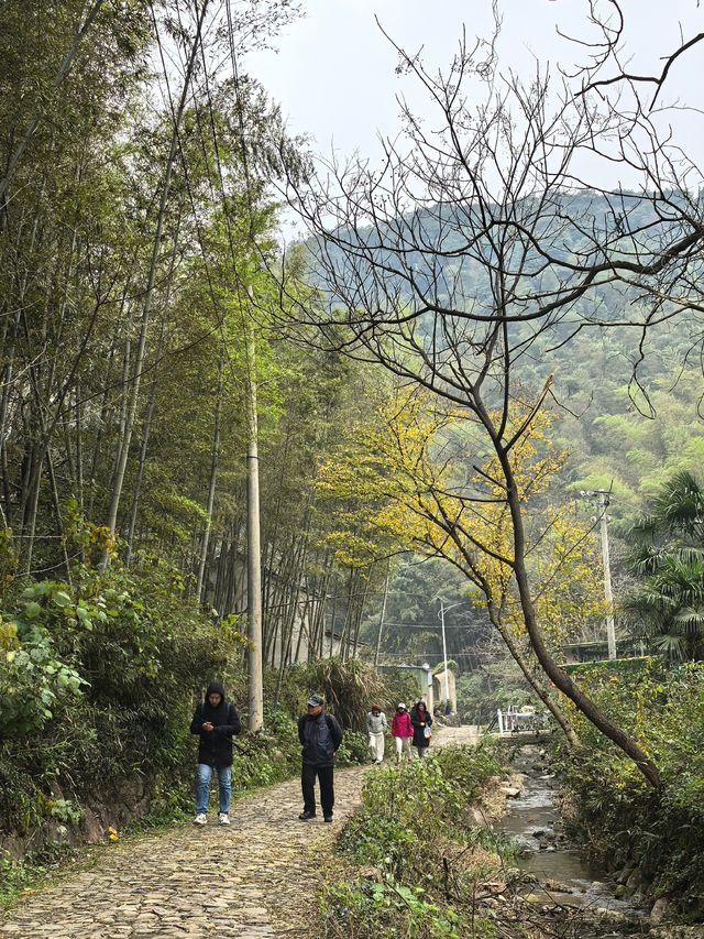 2024年的最後一次徒步 - 梅坞古道 & 考古遺址公園