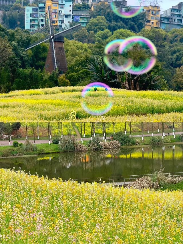 漫步花海，品味瀘州美酒佳餚