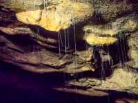 Discover the Magic of Spellbound Glowworm Caves